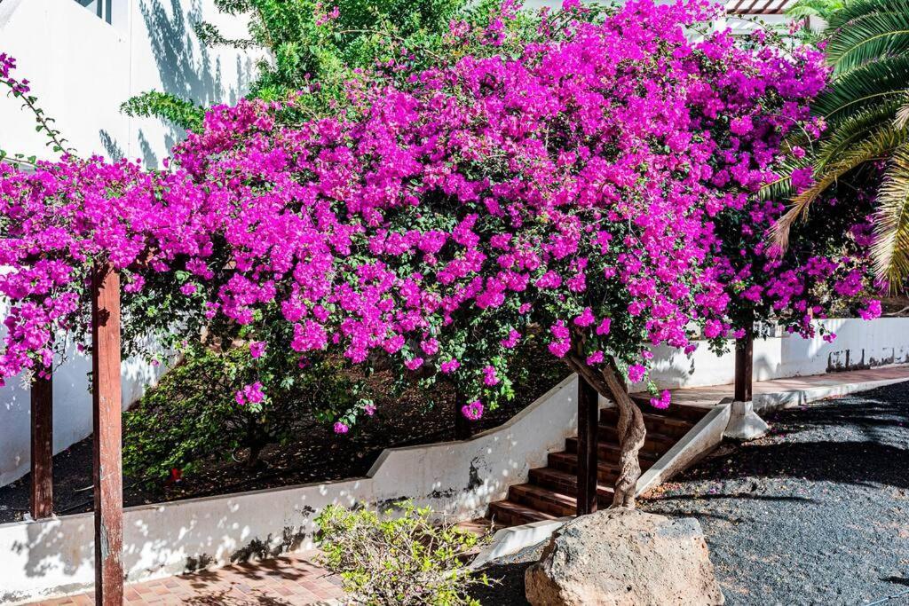 Vivienda Vacacional El Descanso Costa Teguise Buitenkant foto